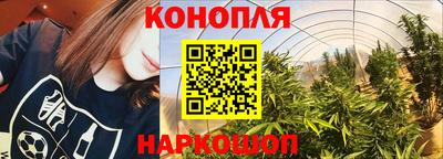 соль ск Тара