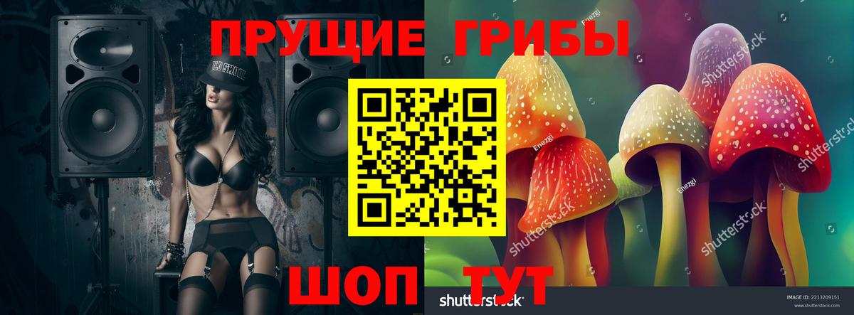 Малоярославец  Псилоцибиновые грибы MAGIC MUSHROOMS  Вход с VPN  Галлюциногенные грибы мицелий 